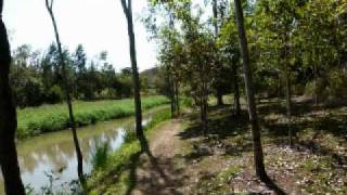 preview picture of video 'Yungaburra - Peterson creek home to the platypus'