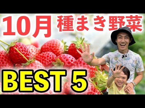 秋の野菜畑：春の豊作のために10月に植えるべき野菜は何ですか？  庭園