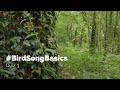 #BirdSongBasics - Quiz 3