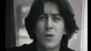 cseh tamás - álomfejtés