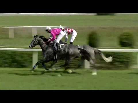 CH, 22. 4. 2018, 4. dostih - CENA RIGIPS (13. MEMORIÁL JAROSLAVA MAŠKA)