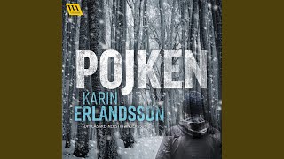 Chapter 12.4 &amp; Chapter 13.1 - Pojken