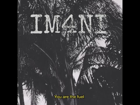 IM4NI - YOU’RE THE FUEL (Vertical Visualizer)