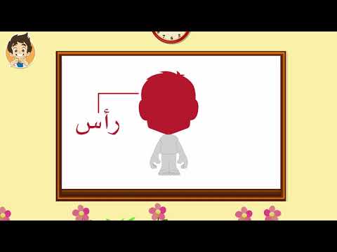 Human Body Parts in Arabic for Kids - أجزاء جسم الإنسان باللغة العربية للأطفال