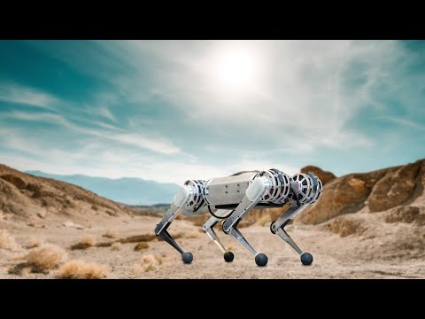 One giant leap for the mini cheetah