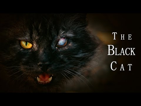 Creepypasta: "The Black Cat" by Edgar Allan Poe