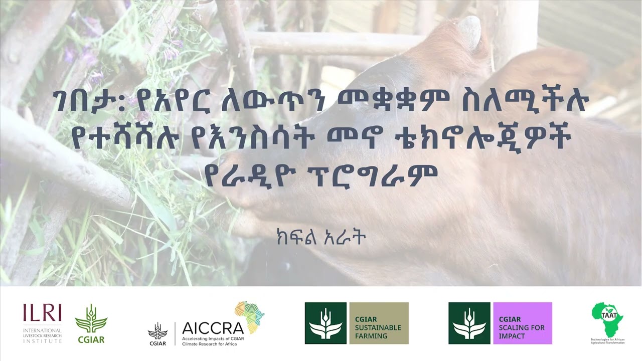 ገበታ: የአየር ለውጥን መቋቋም ስለሚችሉ የተሻሻሉ የእንስሳት መኖ ቴክኖሎጂዎች የራዲዮ ፕሮግራም፡ ክፍል አራት