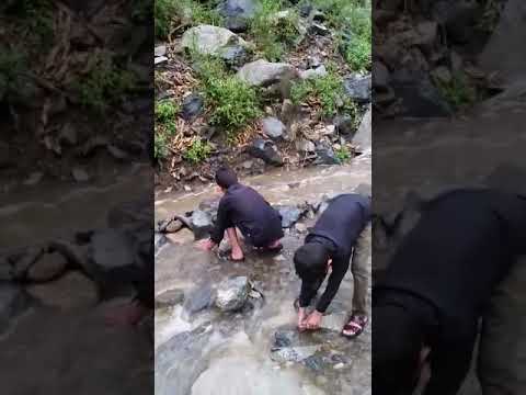 تعز ماوية /القرم سائلة سورق