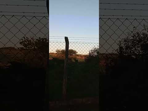 jataizinho #londrinaeregiao #paraná #paranaense