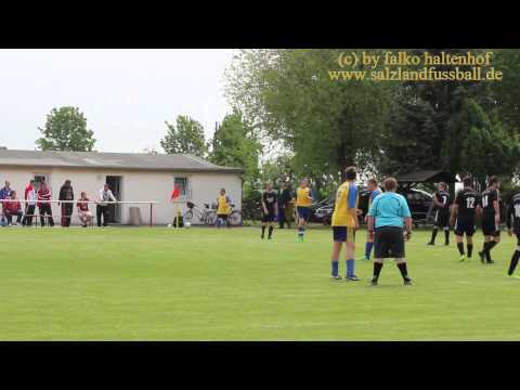 FSV Wespen II  : SV Eintracht Plötzky am 2015-05-16