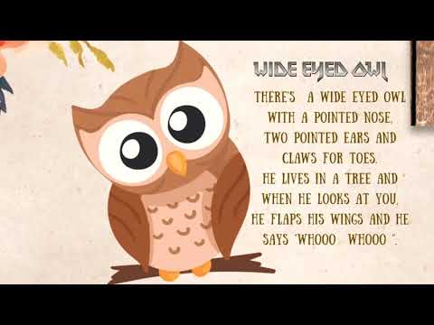 Wide eyed owl - Action poem for kids