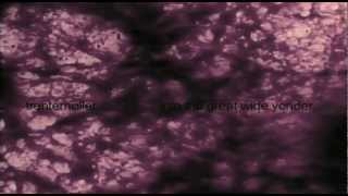 Trentemoller - Silver Surfer, Ghost Rider Go!!!