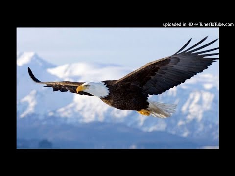 Opriti-va si sa stiti ca Eu Sunt - Psalmul 46:10