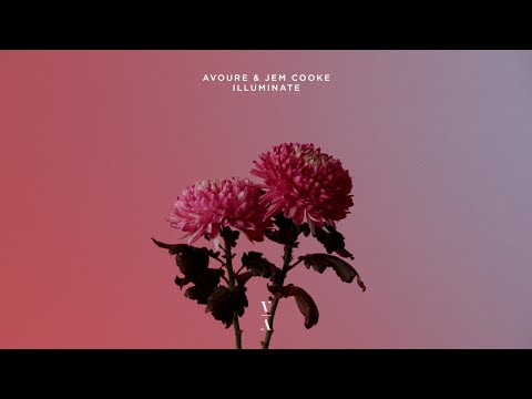 Avoure & Jem Cooke -  Illuminate