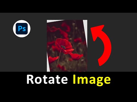 Image Editing Tips in Photoshop Perspective Auto Color Camera Raw Filter