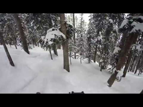 Ski into a tree on Logpile, Telluride, #360