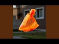Plastic Bag on the Wind