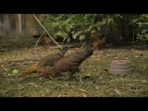 Nasza Ziemia odcinek 7 - rodzinne gospodarstwo, ekologiczna uprawa warzyw, ziół, zbóż