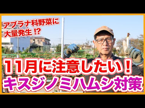 堆肥が臭いのはなぜですか?悪臭を防ぐために避けるべき5つの間違い  庭園