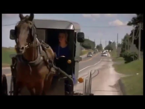 Top Gear UK - BEST Unseen Footage 2017 [HD]