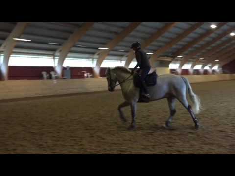 Aaron Eile Lisa Persson träning