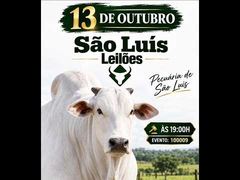 São Luis de Montes Belos - GO   13/10/2026