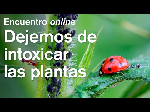 , title : 'Dejemos de intoxicar las plantas, Masterclass con José Luis Porcuna'