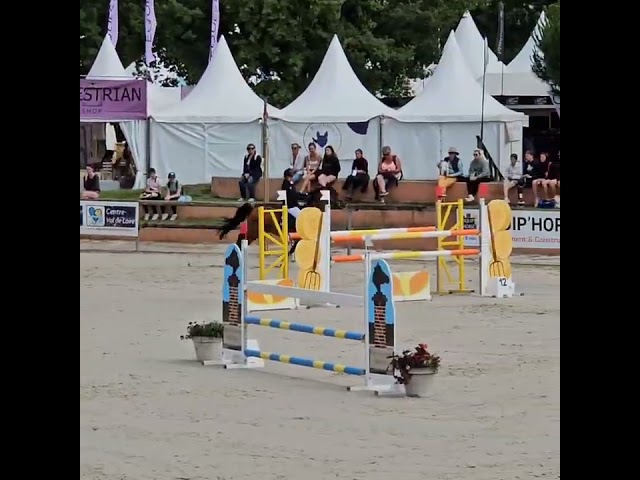 Poney 9ans pour gp à vendre 