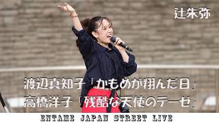♬歌ってます♬ 辻朱弥さん 渡辺真知子 「かもめが翔んだ日」高橋洋子 「残酷な天使のテーゼ」海老名 路上ライブ sony FX2