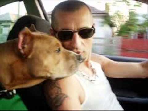 Bani Gheata - Respect