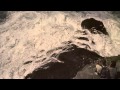 Along the Love Path, after the sea storm (Dogs they make up the dark - Devendra Banhart)