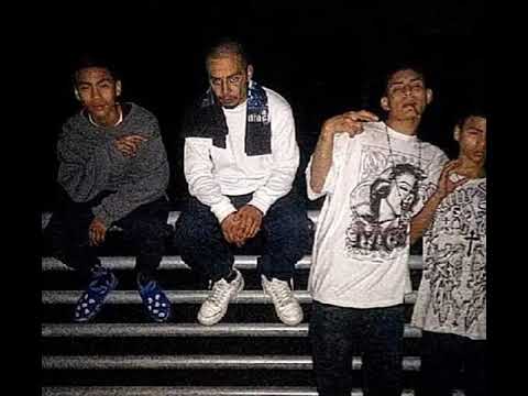 BROWN XPOSURE - RECOGNITION