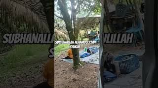 Download lagu #dj #masukberanda #bissmillahrame #subscribe #djremix #fyp mp3