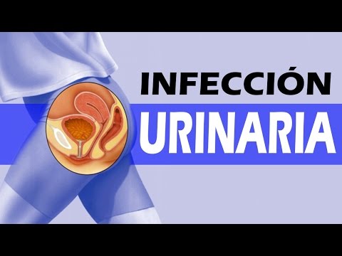 Remedios caseros y naturales para la infección urinaria - Causas y síntomas