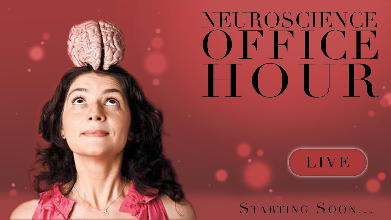 Live: Suzana Herculano-Houzel, A Neurocientista de Plantão, fala sobre ansiedade