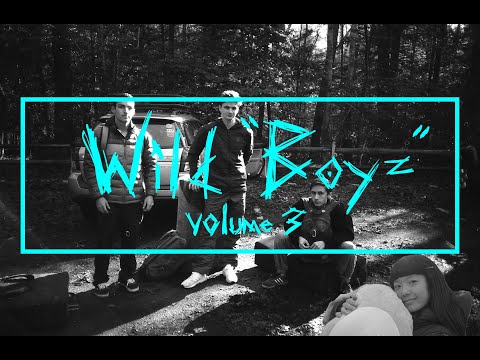 WILD BOYZ - VOLUME 3