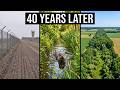 Germany Sealed 870 Miles of Land From Humans for 40 Years — What Came Back Was Unbelievable DEFAULT Thumbnail