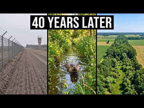Germany Sealed 870 Miles of Land From Humans for 40 Years — What Came Back Was Unbelievable