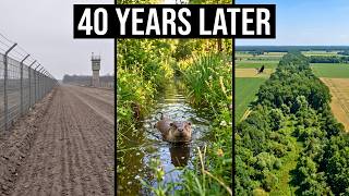 Germany Sealed 870 Miles of Land From Humans for 40 Years — What Came Back Was Unbelievable MQDEFAULT Thumbnail