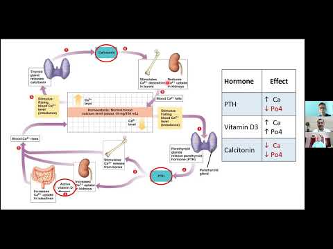 Hypercalcaemia, evaluation and management