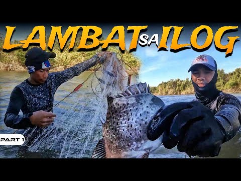 P1-PANLALAMBAT SA ILOG - EP1252