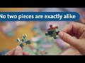 RAVENSBURGER dėlionė Gražus vaizdas, 500d., 16583