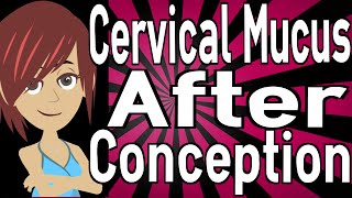 CervicalMucusAfterConception