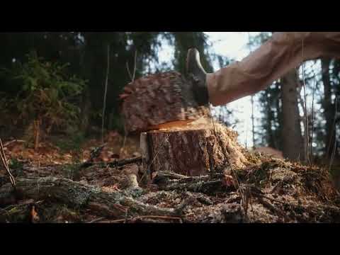 Миниатюра изображения товара Электропила цепная Ресанта ЭП-2418 (70/10/14)