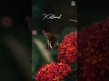 Idhu Varai Illatha Unarvithu Whatsapp Status