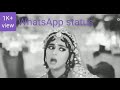 Began Bager Badsha Kis Kaam Ka WhatsApp Status Khalnayak