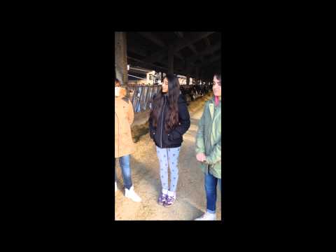 Intervista alla cascina La Grande ( Turano Lodigiano, LO, Italia)