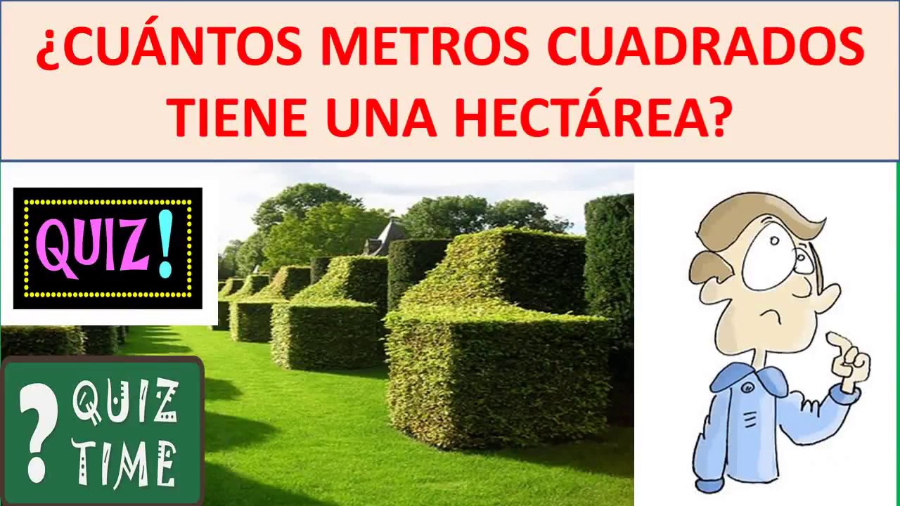 cuantos metros tiene una hectárea