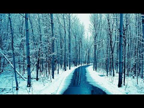 CVGM OST - Freezing Taiga