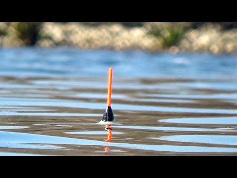 Float fishing on a river with a 6 meter rod bolognese  (ENG SUB)